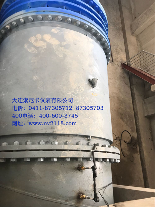 大口徑測量現場插入式探頭